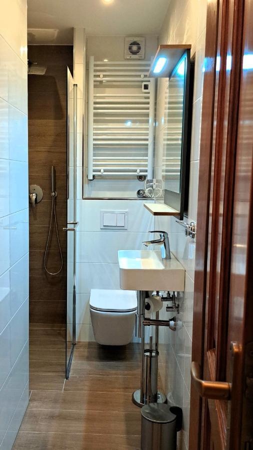 Studio Apartman Olivera Ровин Екстериор снимка